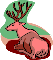 Deer Laying Down on Ground - Tranquil Wildlife Clipart