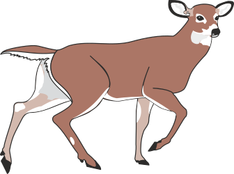 Deer Silhouette on Black Background Clipart for Elegant Designs