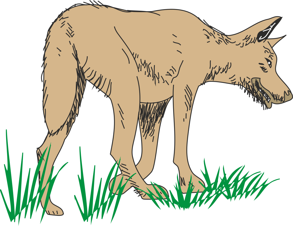 Brown Wolf Standing in Grass Clipart - Nature at Its Finest