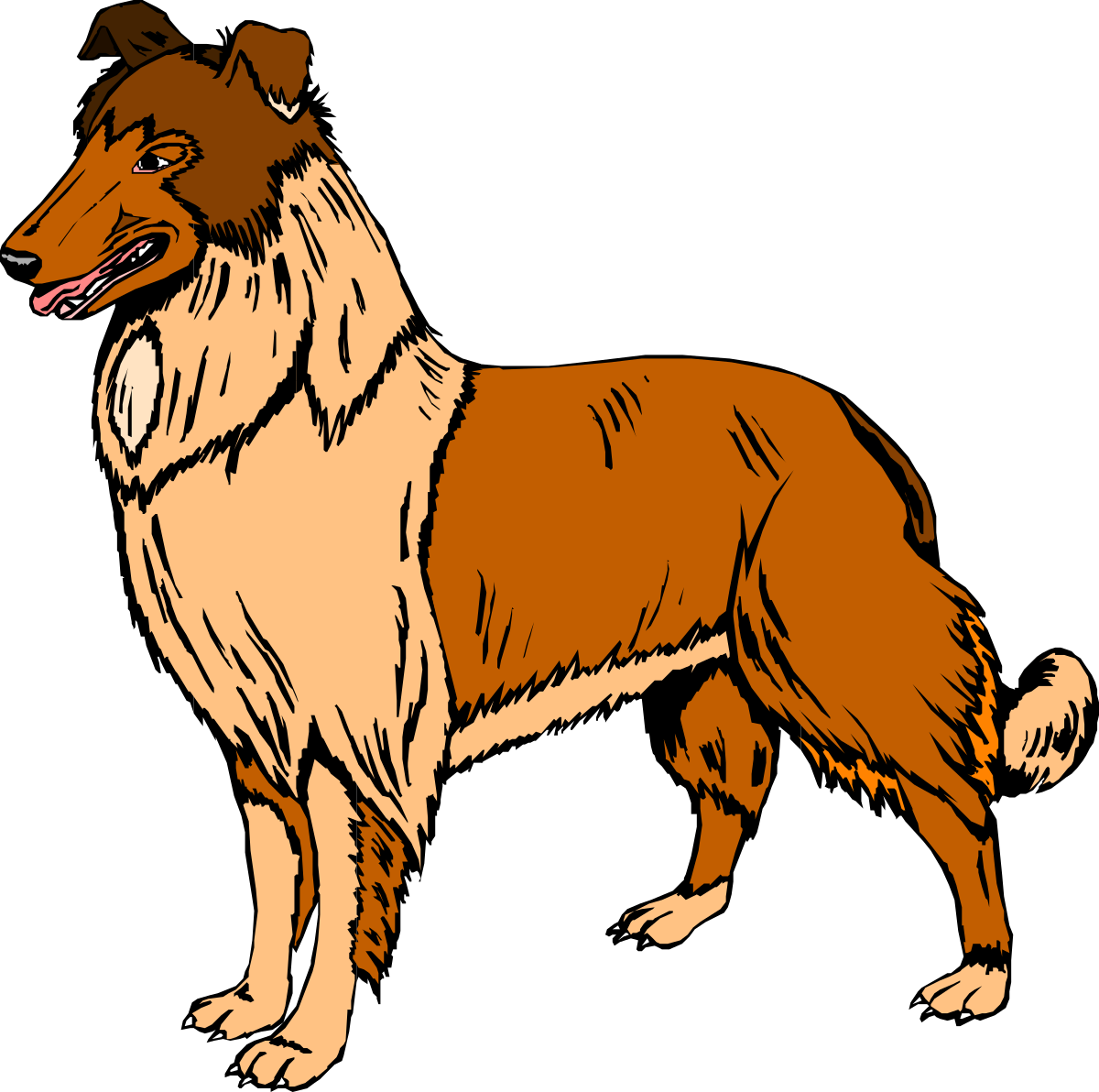 Brown and White Dog Standing on Black Background | Clipart Collection