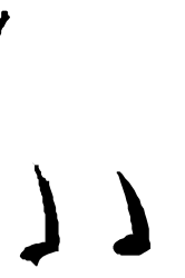 Dog Silhouette Clipart for Creative Projects
