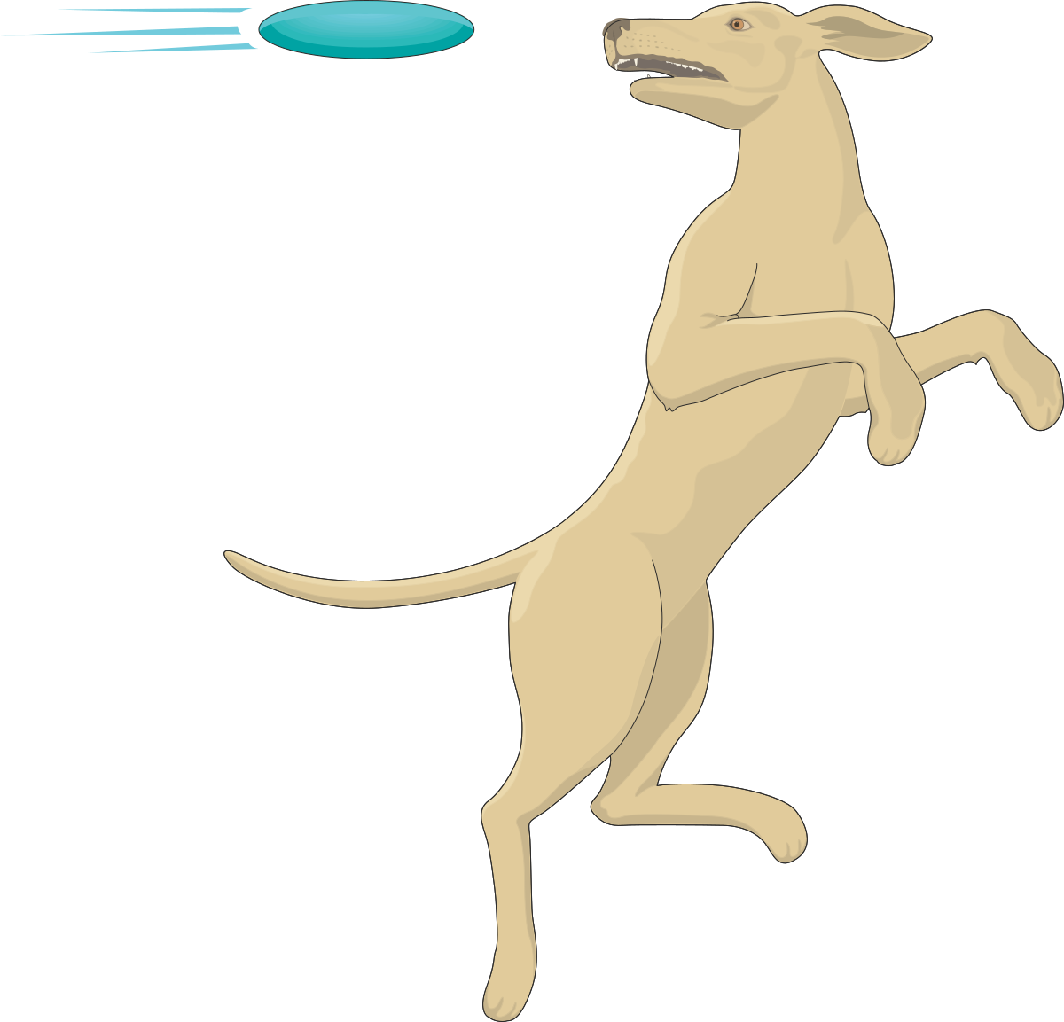 Dog Jumping with Joy: Playful Clipart for Your Projects