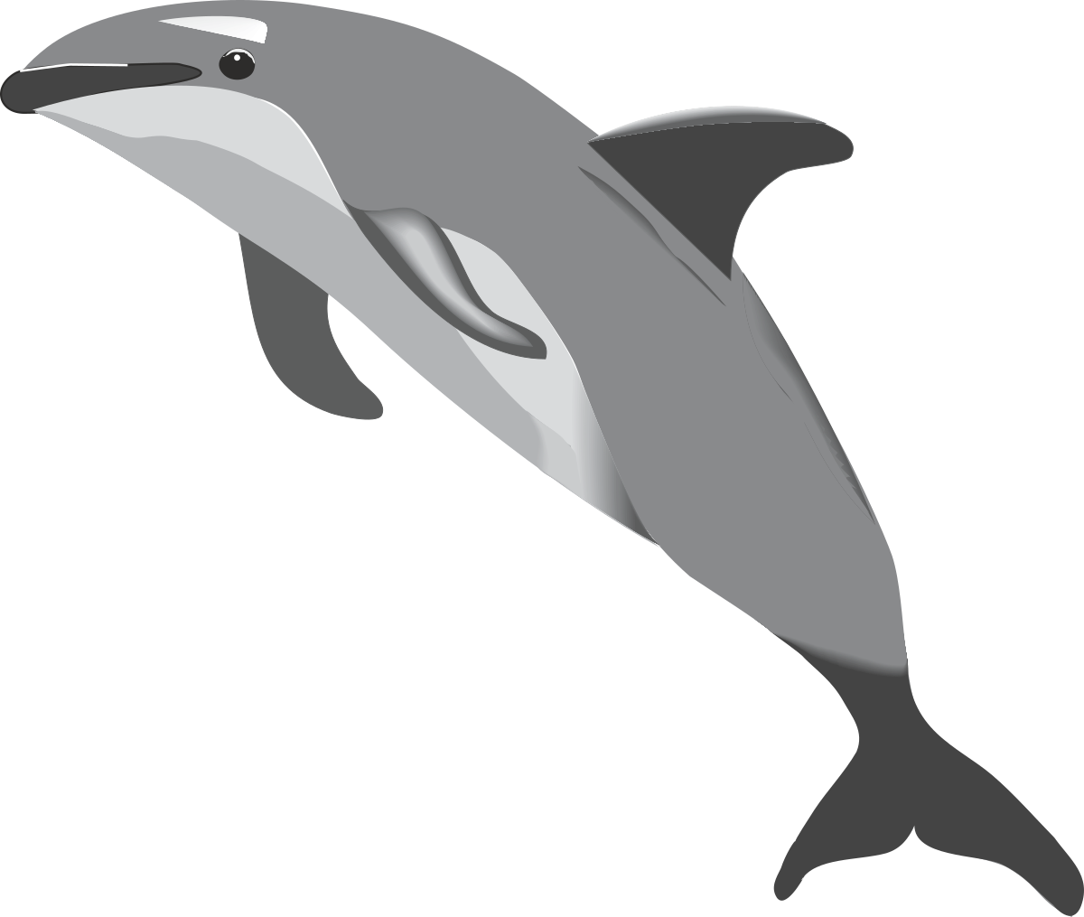 Dolphin Clipart: Free Vector Download for Stunning Marine Scenes