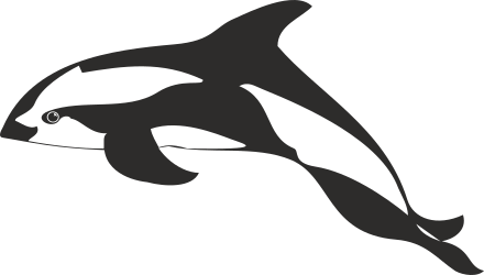 Black and White Dolphin Silhouette on Black Background - Captivating Clipart Design
