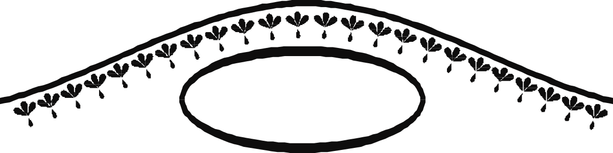 Stylish Black and White House Clipart - Elegant Borders and Bars Design