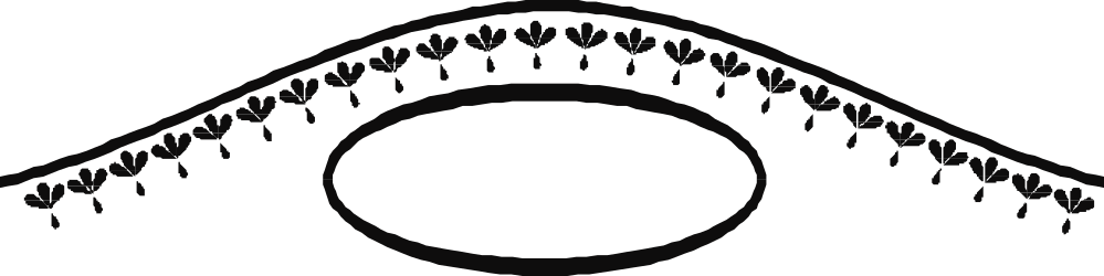 Stylish Black and White House Clipart - Elegant Borders and Bars Design