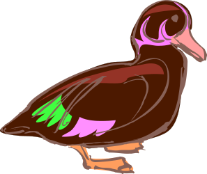 Duck Clipart with Green and Pink Beaks - Vibrant Nature Illustration
