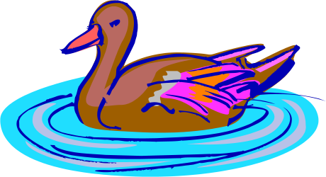Duck Floating in Water - Charming Clipart for Nature Themes