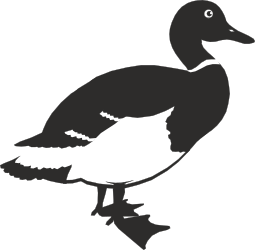 Duck Silhouette on Black Background - Stunning Clipart for Various Uses