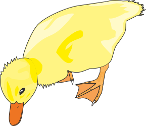 Yellow Duck Clipart on Black Background - Vibrant and Playful Imagery