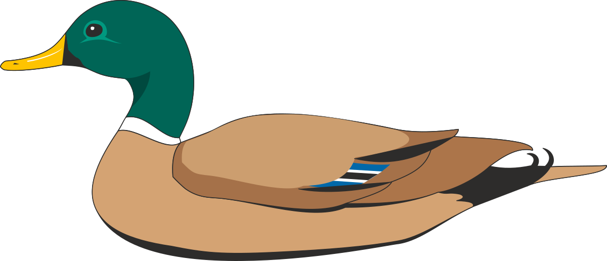 a duck with a blue stripe on its head clip art png transparent Duck with Blue Stripe on Head Clipart - Charming and Playful Illustration