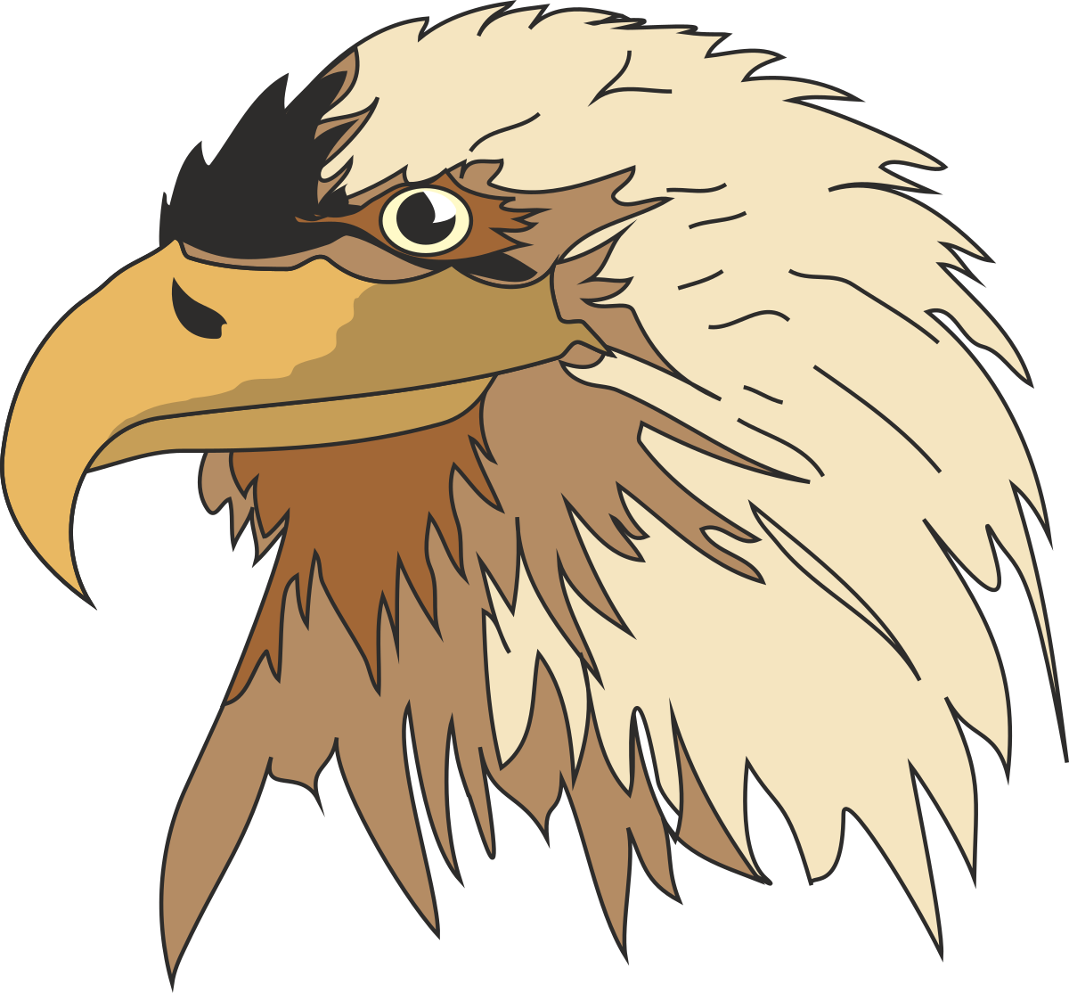 Eagle Head Clipart on Black Background - Majestic Wildlife Illustrations