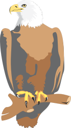 Eagle on a Branch with Wings Spread - Majestic Wildlife Clipart
