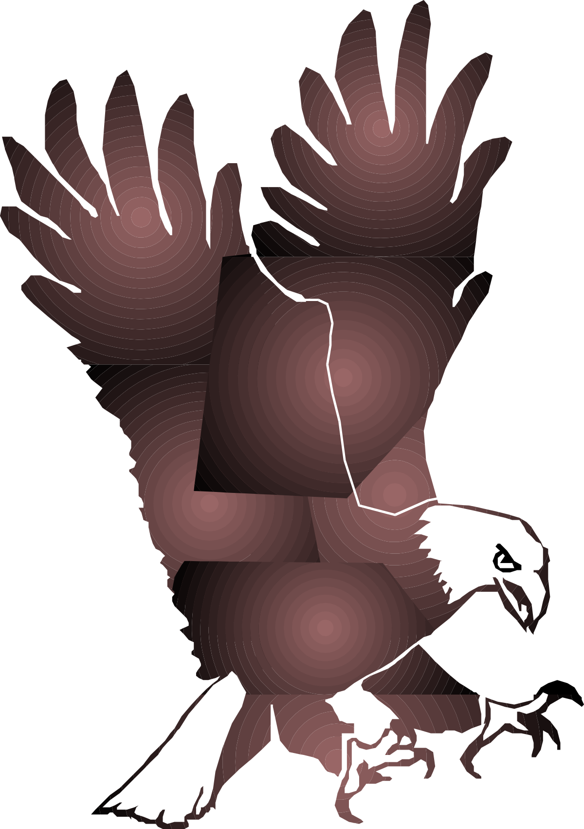 Eagle Flying in the Air with Wings Spread - Majestic Clipart