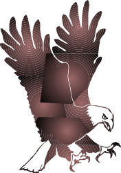 Eagle Flying in the Air with Wings Spread - Majestic Clipart