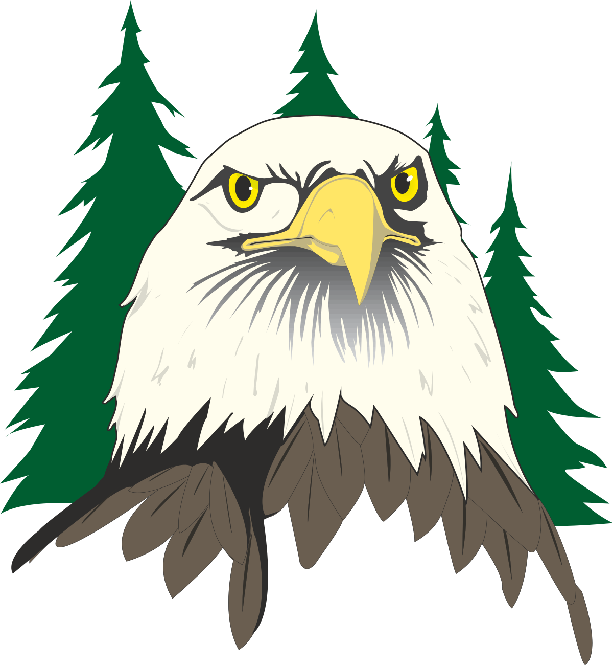 Eagle and Pine Tree Clipart: Majestic Wildlife Scene