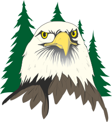 Eagle and Pine Tree Clipart: Majestic Wildlife Scene