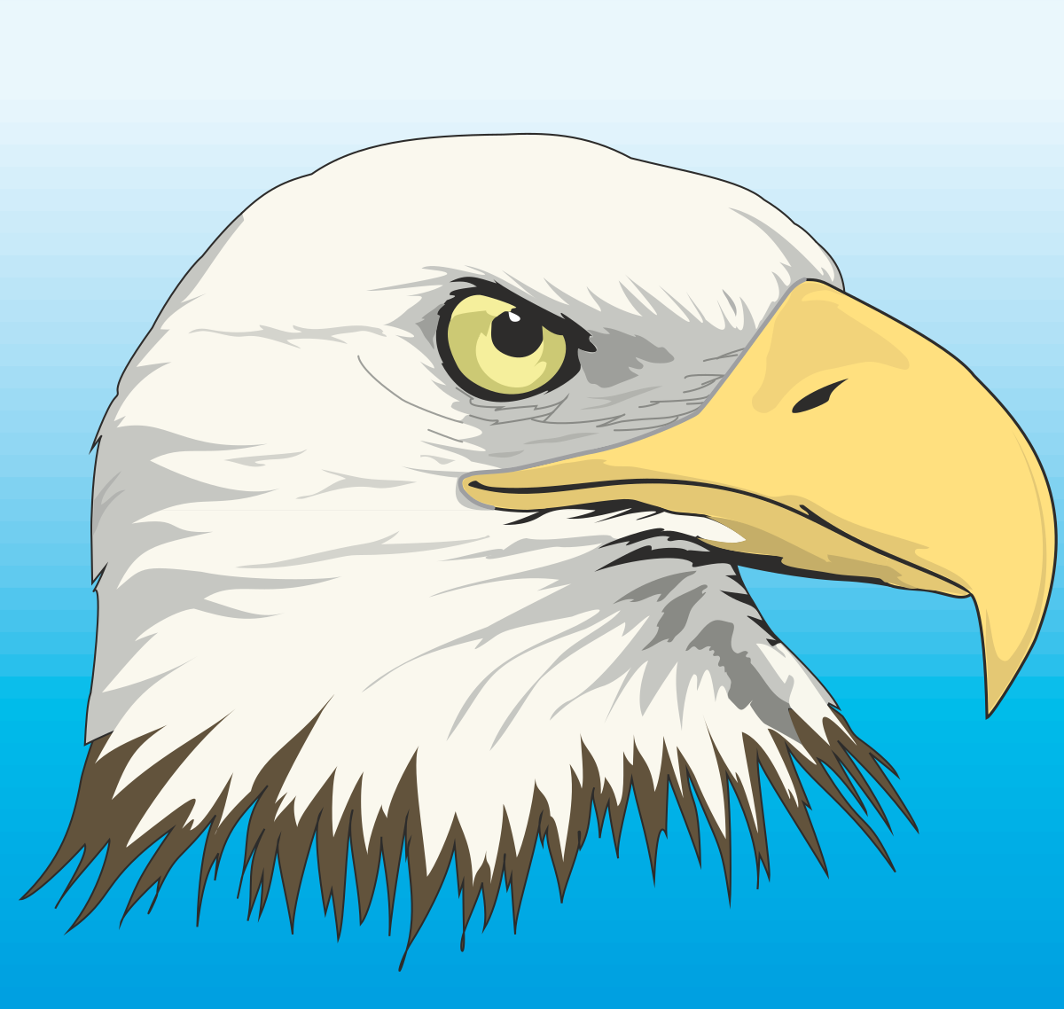 Bald Eagle Head Clipart - Majestic Wildlife Icon
