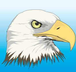Bald Eagle Head Clipart - Majestic Wildlife Icon