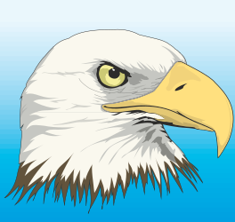 ANIMALS,WILD,EAGLEHEA clipart