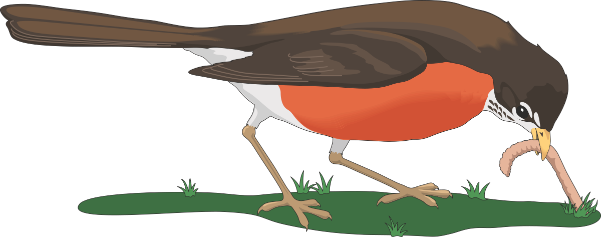 a bird with a long beak and a long beak clip art png transparent Long Beak Bird Clipart - Vivid and Versatile Illustrations