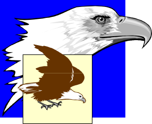 Eagle Clipart with Blue Background - Majestic White and Brown Eagle Graphics