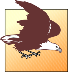 Eagle Flying in the Sky with Wings Spread - Majestic Clipart