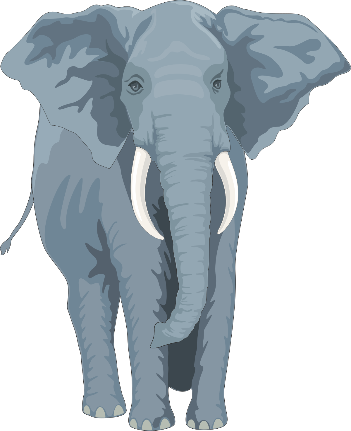 Elephant in a Tutu Clipart: Fun and Whimsical Imagery