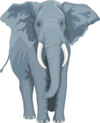 Elephant in a Tutu Clipart: Fun and Whimsical Imagery