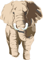 Elephant Clipart with a Big Tuffly Look - Fun & Playful Designs