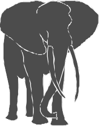 Elephant Silhouette on Black Background - Stunning Clipart
