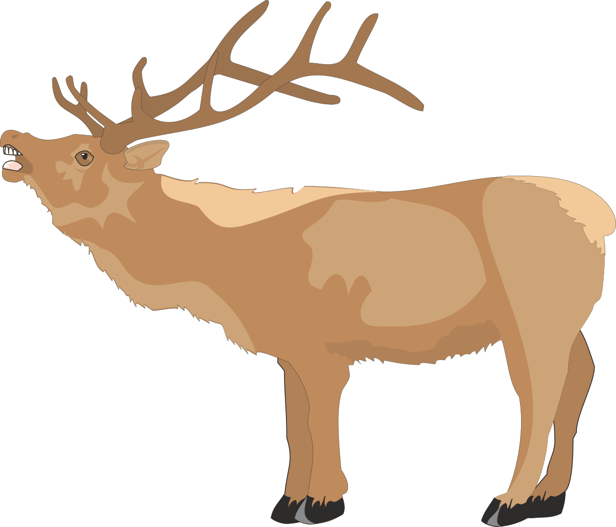 Deer with Ants on Head Clipart: Nature's Quirky Wildlife