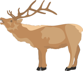 ANIMALS,WILD,ELK clipart