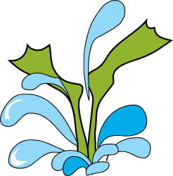 Plant with Water Droplets Clipart - Vibrant Nature Graphics