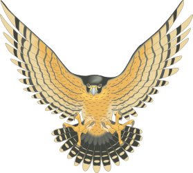 Bird with Wings Spread Out on Black Background - Stunning Clipart