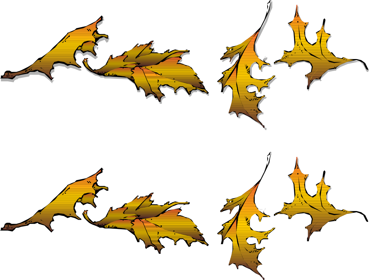 Different Types of Leaves Clipart for Nature Enthusiasts