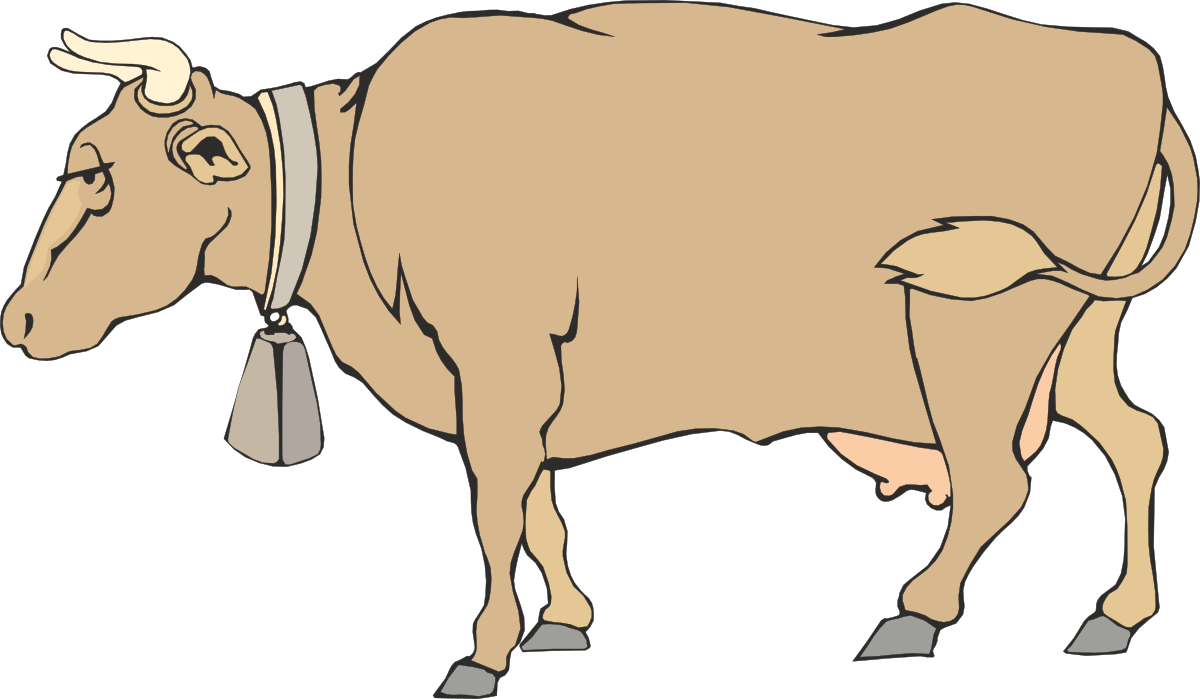 Brown Cow with White Collar on Black Background - Unique Clipart