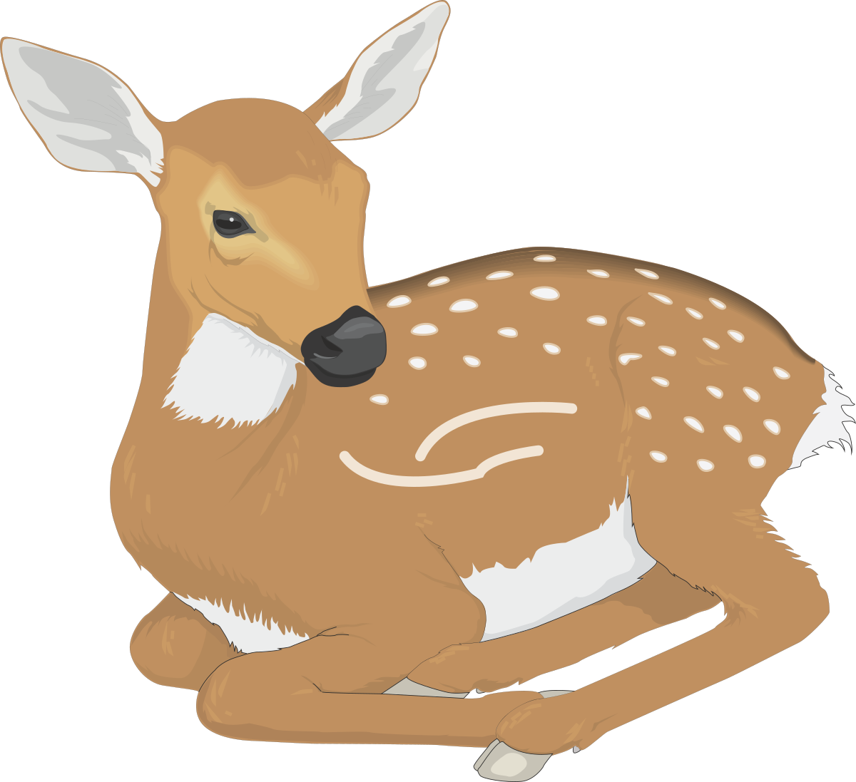Deer Laying Down on Ground - Serene Nature Clipart