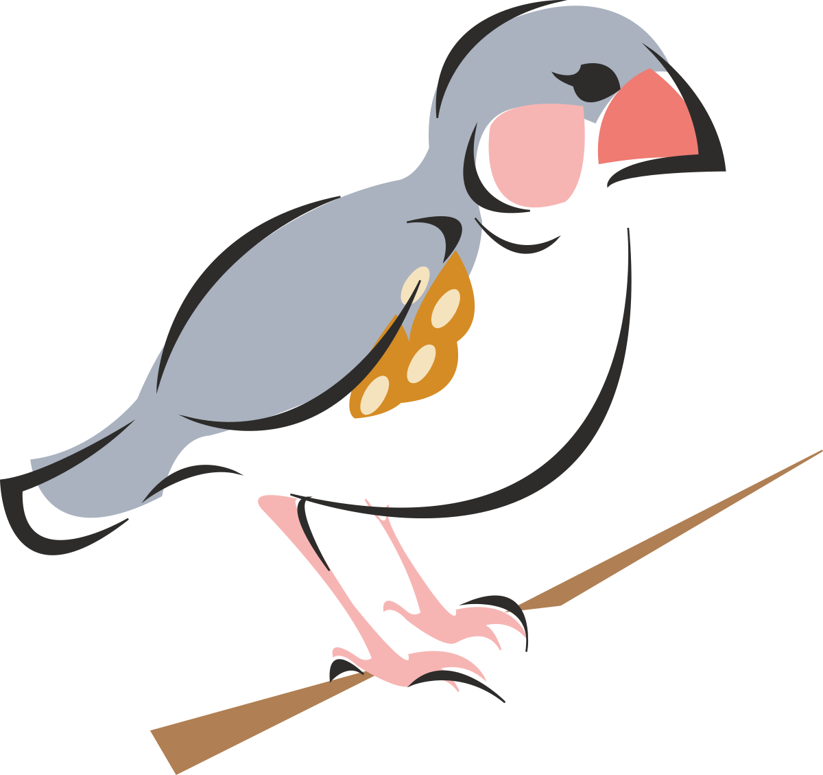 Bird on Branch - Stunning Black Background Clipart