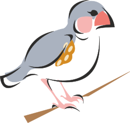 Bird on Branch - Stunning Black Background Clipart