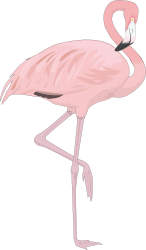 Pink Flamingo Standing on Hinds Legs Clipart