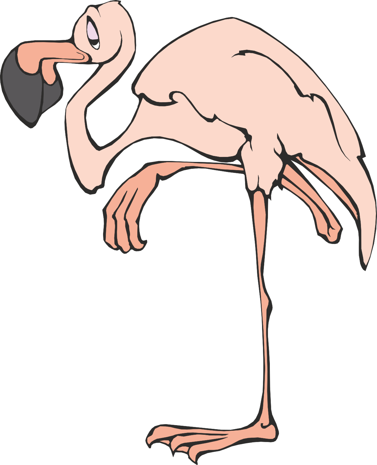 Flamingo Clipart: Vibrant Tropical Bird Illustrations for Every Project
