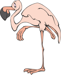 Flamingo Clipart: Vibrant Tropical Bird Illustrations for Every Project