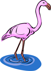 Pink Flamingo Standing in a Puddle - Vibrant Nature Clipart