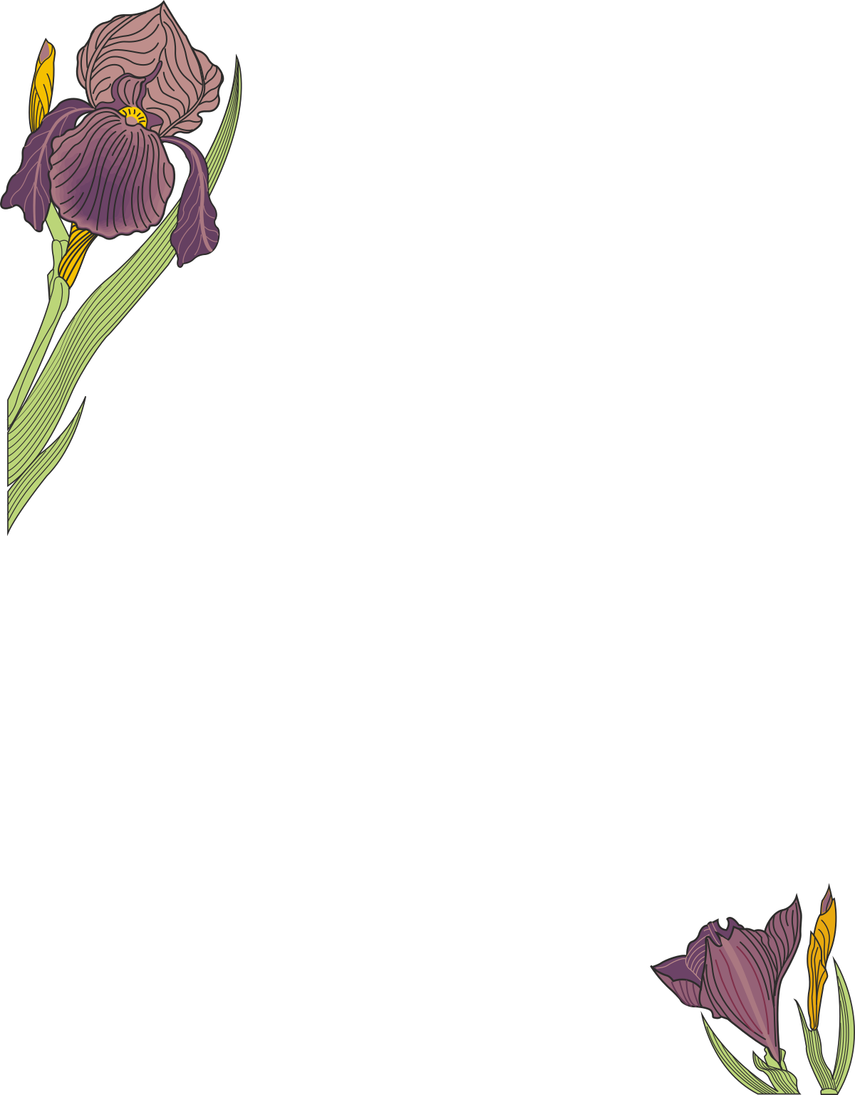 Borders and Plants: Stunning Purple Iris Flowers Clipart on Black Background