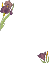 Borders and Plants: Stunning Purple Iris Flowers Clipart on Black Background