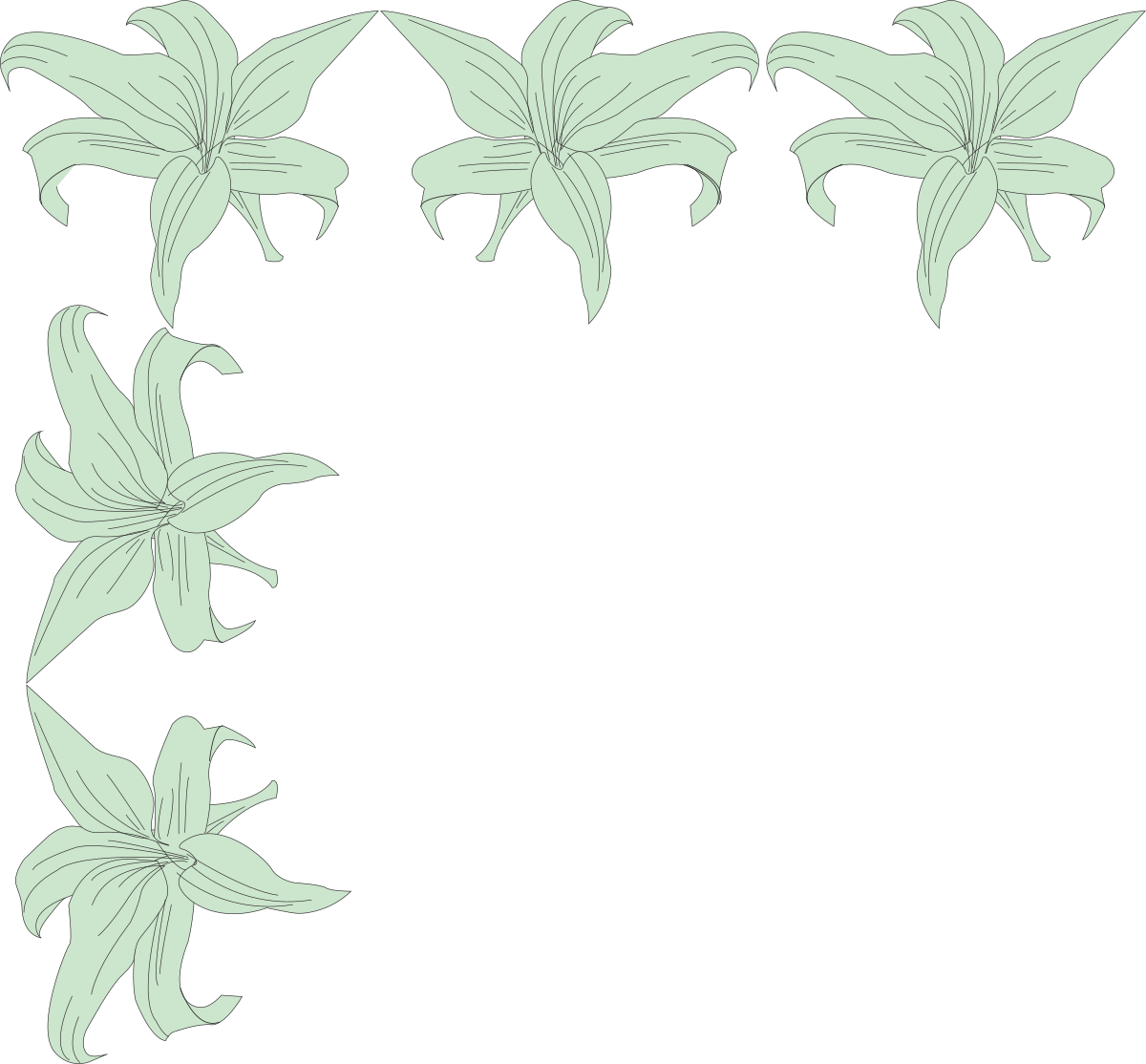 Floral Borders with White Flowers on Black Background - Stunning Clipart Design