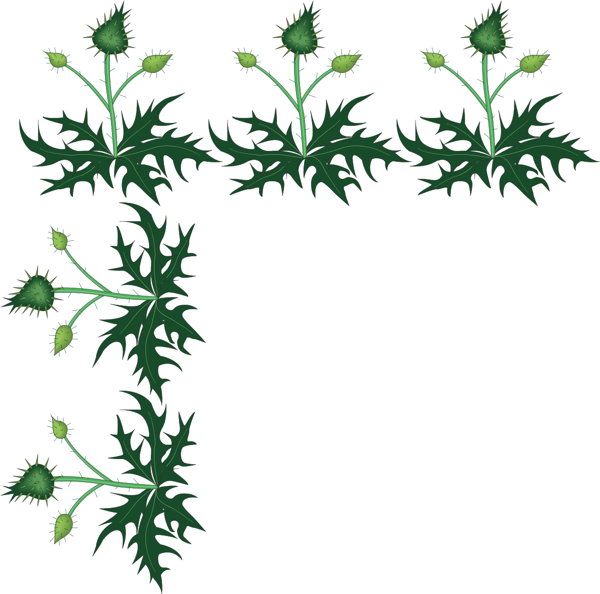 a green plant with leaves and flowers clip art png transparent Borders and Floral Plants Clipart - Elegant Thistle Designs