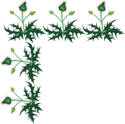 Borders and Floral Plants Clipart - Elegant Thistle Designs