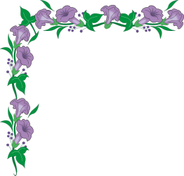 Floral Borders with Orchids and Green Leaves - Beautiful Clipart
